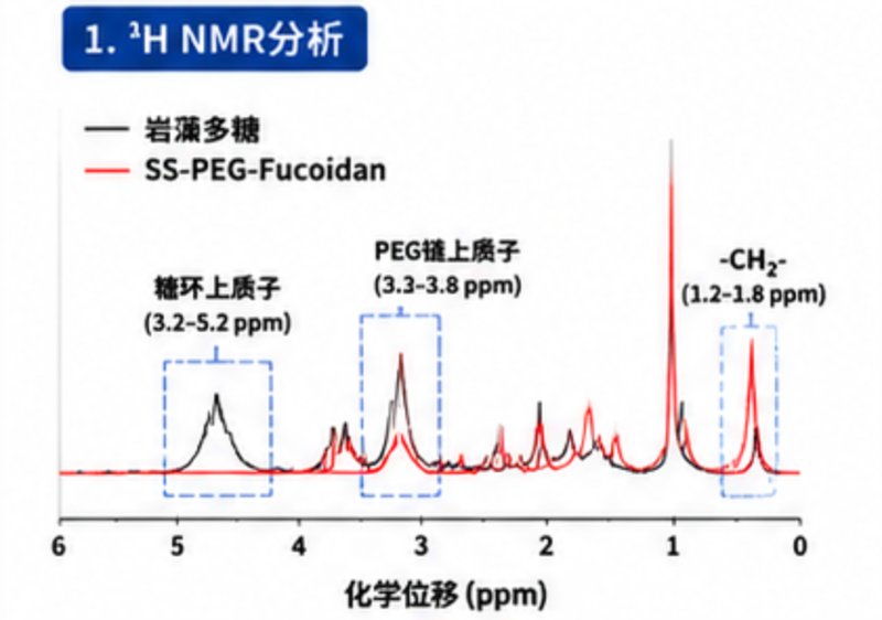 PEG修饰多糖定制专家:普鲁兰·岩藻·肝素衍生物按需合成