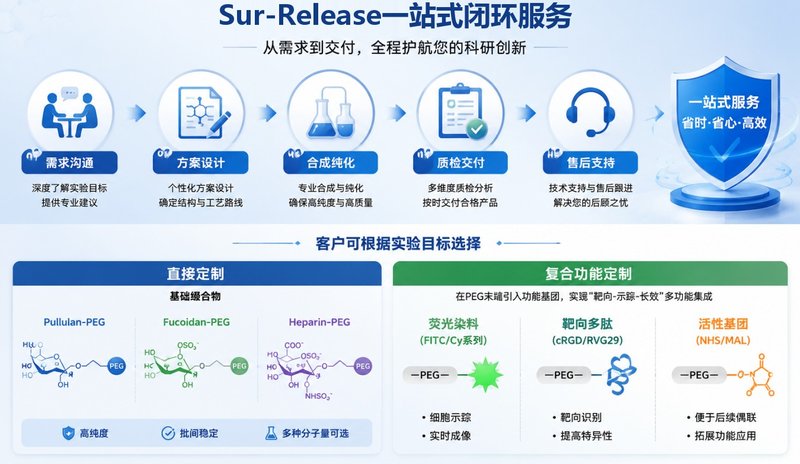 PEG修饰多糖定制专家:普鲁兰·岩藻·肝素衍生物按需合成