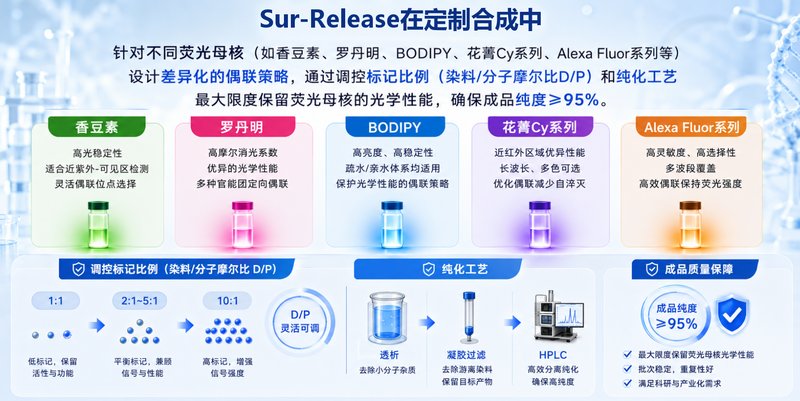 生物荧光探针小分子定制合成｜荧光母核修饰与靶向基团高效偶联工艺优化