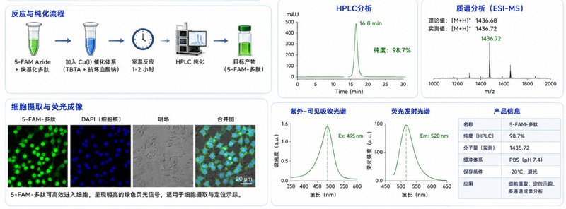 生物荧光探针小分子定制合成｜荧光母核修饰与靶向基团高效偶联工艺优化