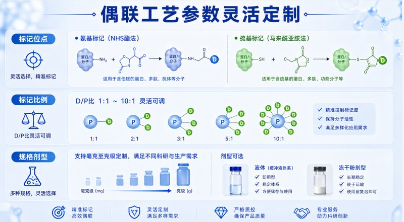 生物荧光探针小分子定制合成｜荧光母核修饰与靶向基团高效偶联工艺优化