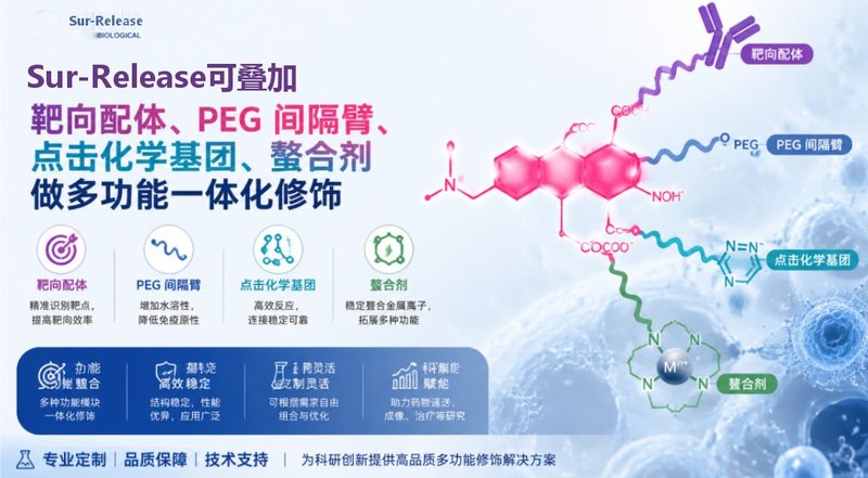罗丹明荧光偶联药物定制,细胞成像示踪专用标记修饰