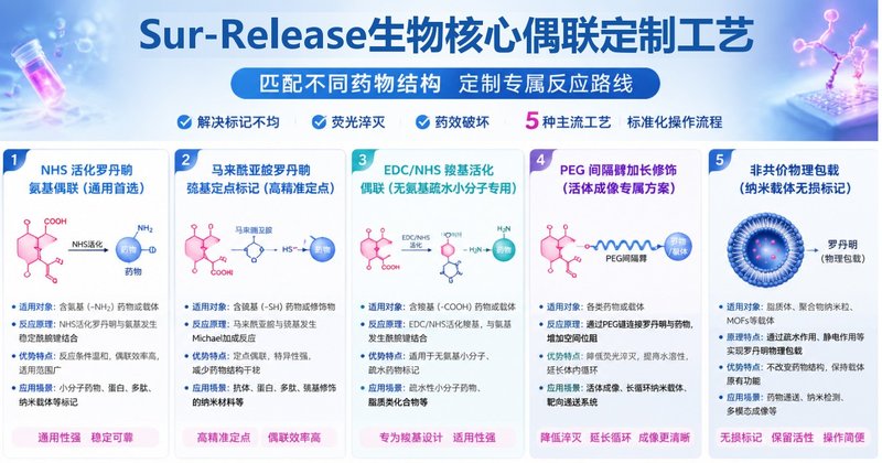 罗丹明荧光偶联药物定制,细胞成像示踪专用标记修饰