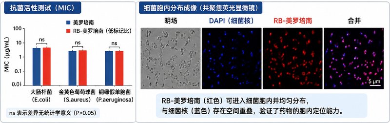 罗丹明荧光偶联药物定制,细胞成像示踪专用标记修饰