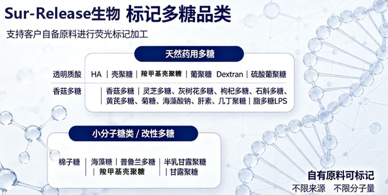 Cy5.5荧光标记多糖|近红外可视化探针定制解决方案