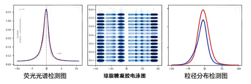Cy5.5荧光标记多糖|近红外可视化探针定制解决方案