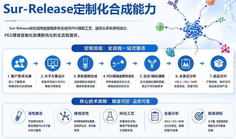 4-arm/8-armPEG修饰多肽偶联定制，满足肿瘤靶向与精准递送研究需求