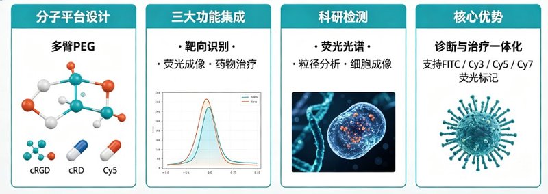 4-arm/8-armPEG修饰多肽偶联定制，满足肿瘤靶向与精准递送研究需求