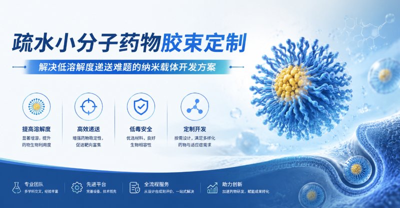 疏水小分子药物胶束定制|解决低溶解度递送难题的纳米载体开发方案