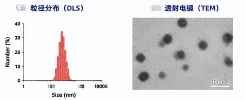 疏水小分子药物胶束定制|解决低溶解度递送难题的纳米载体开发方案