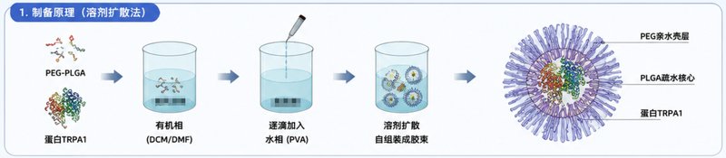 疏水小分子药物胶束定制|解决低溶解度递送难题的纳米载体开发方案