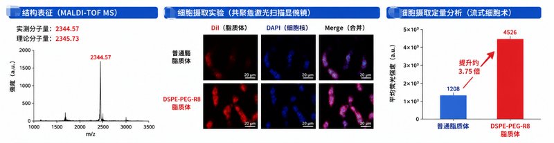 靶向脂质体定制开发|支持RGD、叶酸修饰与PEG长循环设计