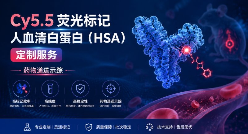 人血清白蛋白HSA的荧光标记定制(Cy5.5)|药物递送示踪与生物成像应用