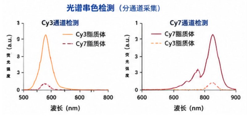 Cy、FITC、近红外荧光DSPE-PEG磷脂定制|活体成像与靶向递送材料开发