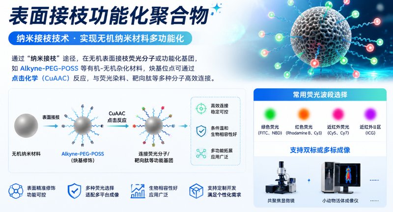 荧光标记无机纳米载体定制开发｜实现纳米材料示踪、成像与功能化应用