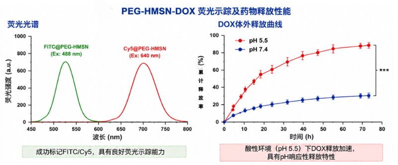 荧光标记无机纳米载体定制开发｜实现纳米材料示踪、成像与功能化应用