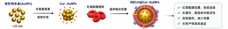 小分子药物负载纳米金｜科研定制解决方案