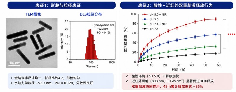 小分子药物负载纳米金｜科研定制解决方案