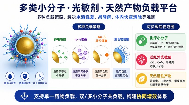 小分子药物负载纳米金｜科研定制解决方案