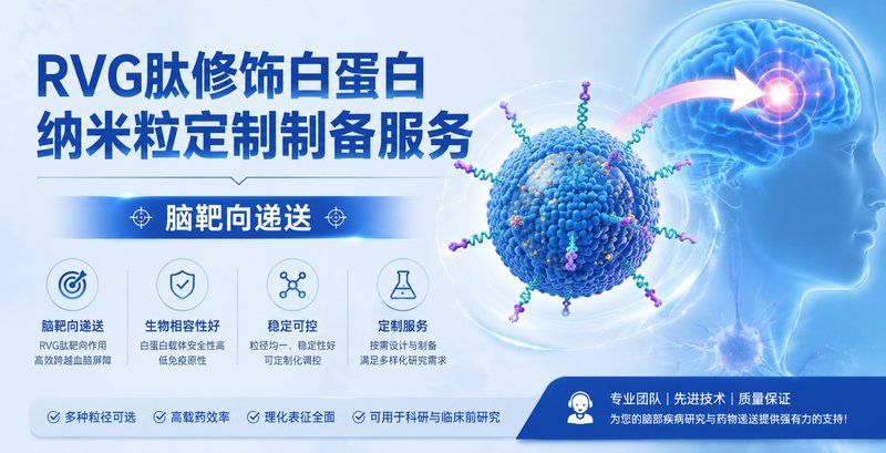 RVG肽功能化白蛋白纳米粒定制|脑部精准递送与成像应用开发