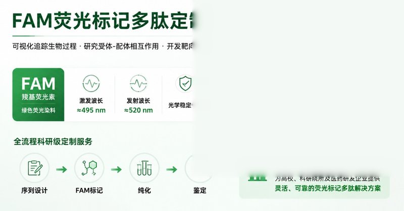 FAM标记多肽定制合成服务：羧基荧光素修饰与荧光示踪应用