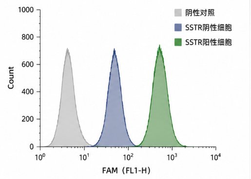 FAM标记多肽定制合成服务：羧基荧光素修饰与荧光示踪应用