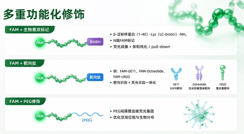 FAM标记多肽定制合成服务：羧基荧光素修饰与荧光示踪应用