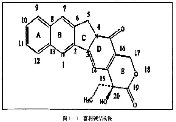 聚轮烷—喜树碱偶联物(PR-CPT前体)给药系统的定制合成-Sur-Release生物技术服务