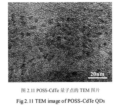 OM-POSS修饰的高生物相容性碲化镉荧光量子点(POSS-CdTe QDs)具有良好的光稳定性Sur-Release生物技术服务供应