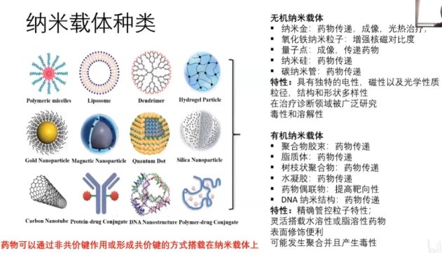 多种形貌的MnO₂纳米颗粒定制合成服务