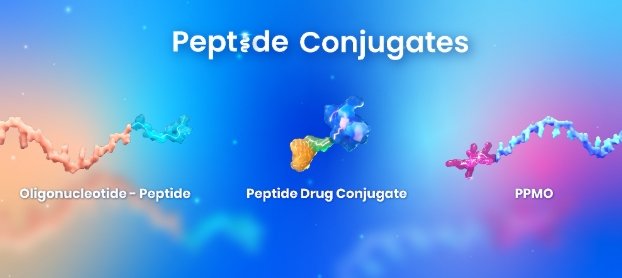 FITC-介孔二氧化硅（MSN）定制合成技术的定制合成方案-Sur-Release生物技术服务