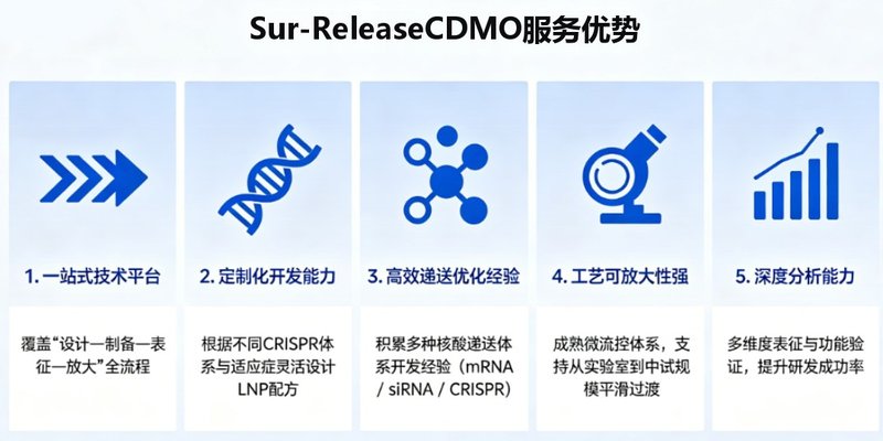 基因编辑 LNP 载体 CDMO服务:CRISPR递送系统开发解决方案---Sur-Release生物技术服务