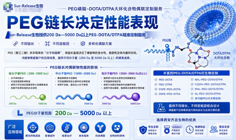 PEG磷脂-DOTA/DTPA大环化合物偶联定制服务 | Sur-Release生物技术服务