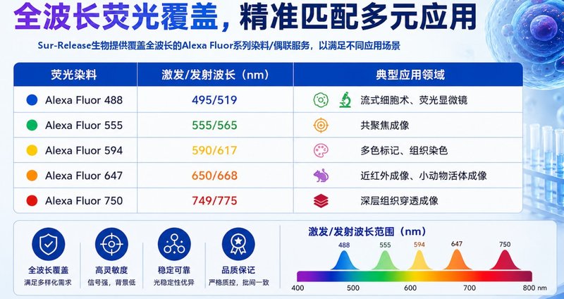 Alexa Fluor系列全波长荧光标记氨基酸：从定制到规模化的合成解决方案