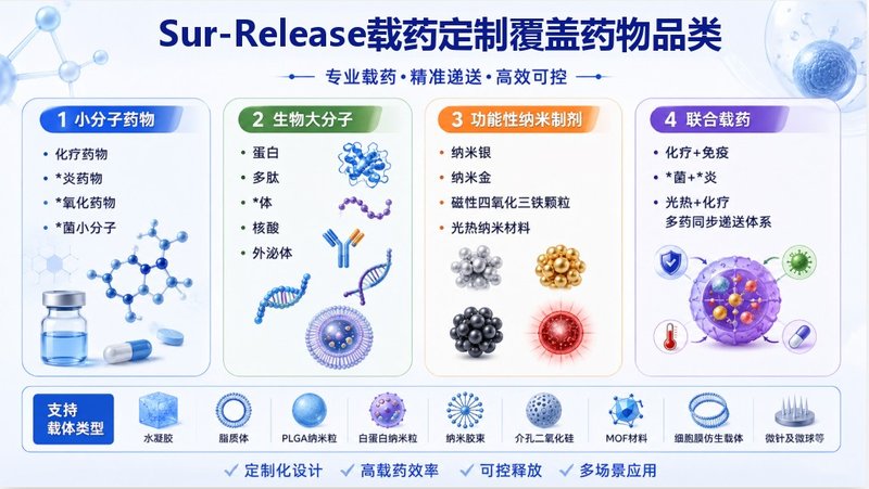 载药水凝胶定制开发策略：负载性能、控释行为与药物递送系统构建