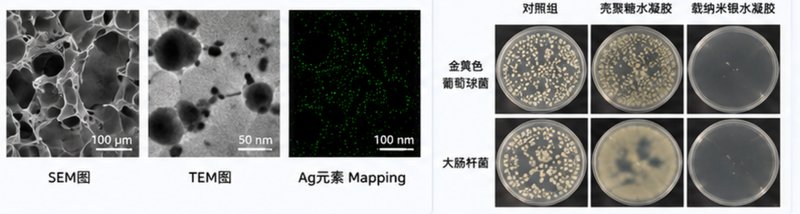 载药水凝胶定制开发策略：负载性能、控释行为与药物递送系统构建