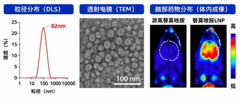 脂质纳米粒（LNP）负载小分子药物定制，赋能新药递送体系开发