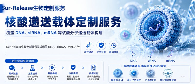 PLGA载药微球定制｜小分子/多肽/核酸包载一站式服务