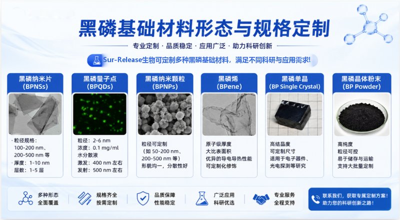 BP@PDA（聚多巴胺包覆黑磷）核壳纳米材料定制 Sur-Release生物技术服务