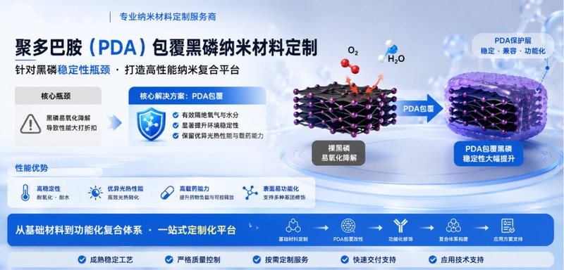 BP@PDA（聚多巴胺包覆黑磷）核壳纳米材料定制 Sur-Release生物技术服务