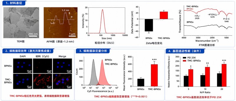 BP@PDA（聚多巴胺包覆黑磷）核壳纳米材料定制 Sur-Release生物技术服务