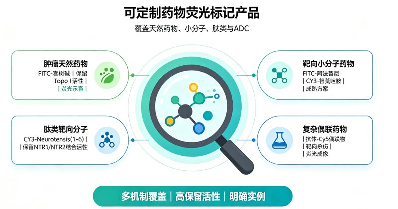 小分子靶向药的荧光标记定制服务:助力药物研究精准可视化