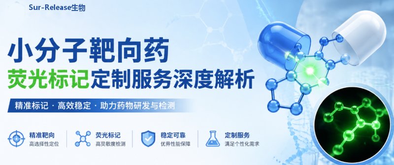 小分子靶向药的荧光标记定制服务:助力药物研究精准可视化