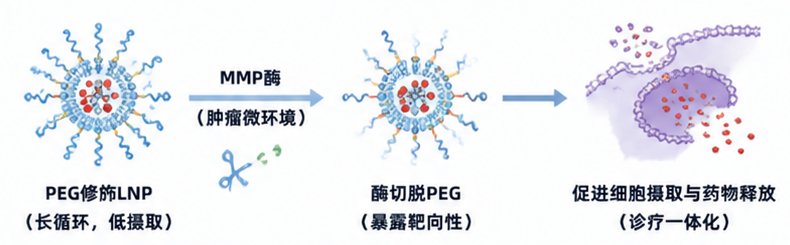 响应型DSPE-PEG脂质材料定制|支持pH/ROS/酶触发精准递送设计