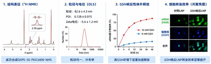 响应型DSPE-PEG脂质材料定制|支持pH/ROS/酶触发精准递送设计