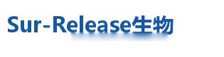 聚乙烯亚胺修饰的四氧化三铁磁性纳米颗粒(PEI@Fe3O4) | PEI coating Fe3O4 nanoparticles（10nm/150nm）