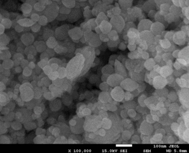 聚乙烯亚胺修饰的四氧化三铁磁性纳米颗粒(PEI@Fe3O4) | PEI coating Fe3O4 nanoparticles（10nm/150nm）