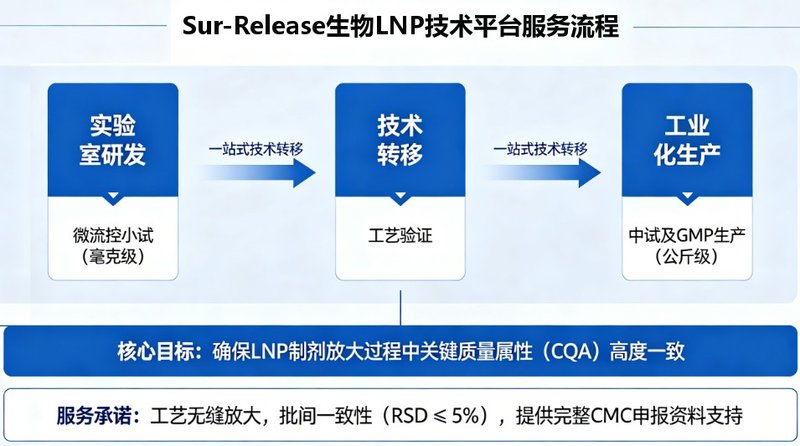 脂质纳米粒（LNP）制剂的技术转移与工艺验证服务-Sur-Release生物技术服务