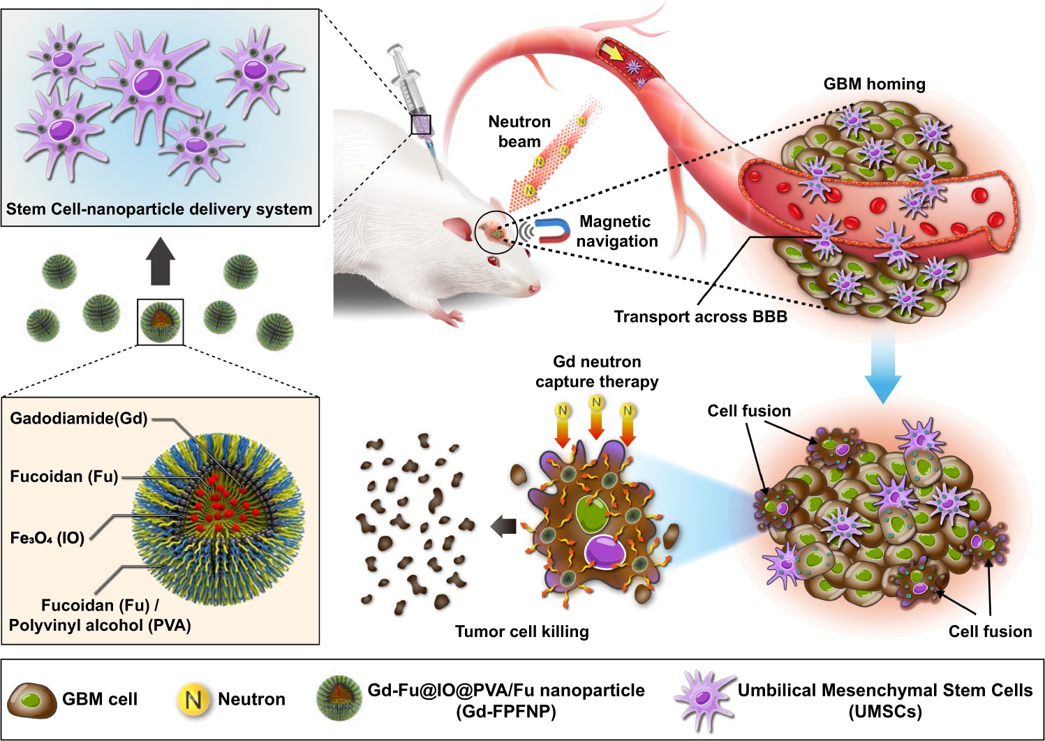CD44