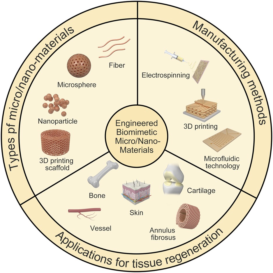 Tyrosinase